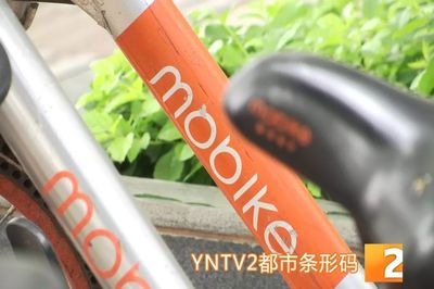 昆明共享單車管理升級 違停摩拜將罰款，ofo小黃車批量封存